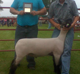 Wright Winner